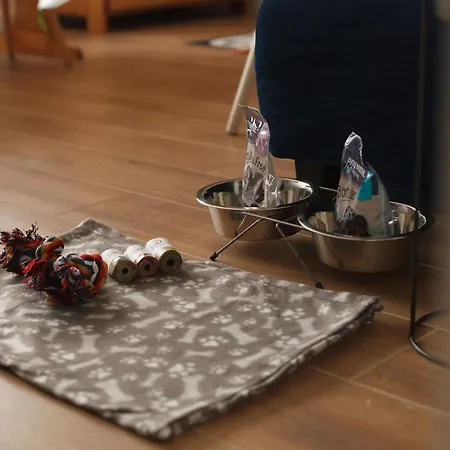 Aleksandria Nad Olza