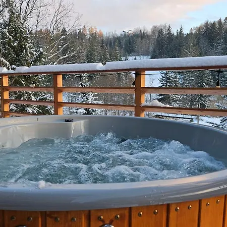 Aleksandria Nad Olza Apartment *