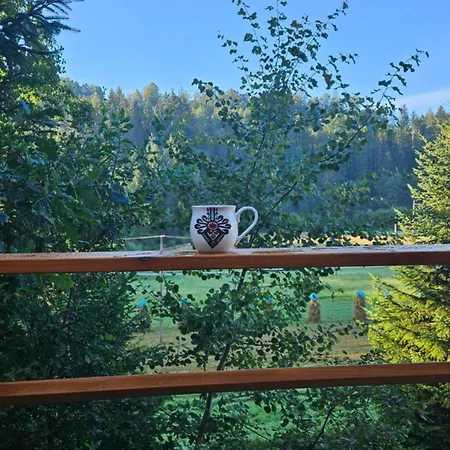 Appartement Aleksandria Nad Olza Istebna