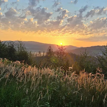 Aleksandria Nad Olza