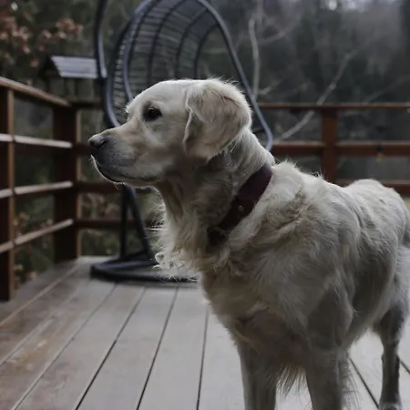 Aleksandria Nad Olza