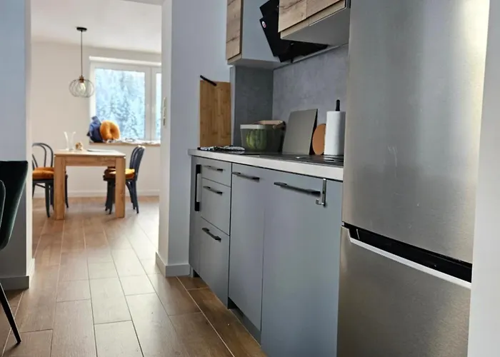 Aleksandria Nad Olza Apartmán Istebna