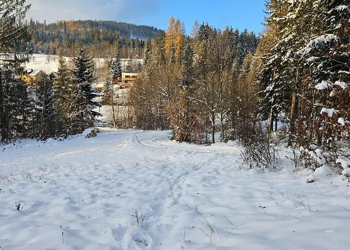 Apartmán Aleksandria Nad Olza *