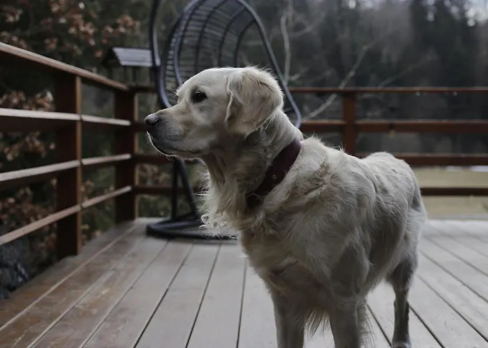 Aleksandria Nad Olza