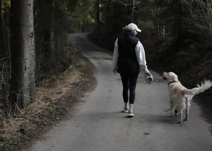 Aleksandria Nad Olza איסטבנה