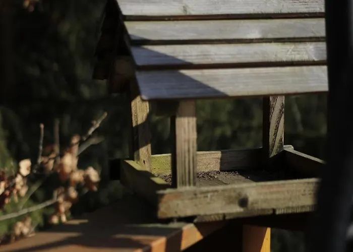 דירה Aleksandria Nad Olza איסטבנה